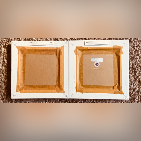 NWT Two 9x9” Delightful Framed Bird Wall Art Paints- Mauve Pinks & Bright White - Picture 14 of 16